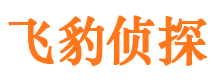 临沧市婚姻调查